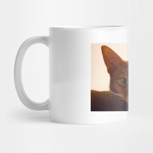 Abyssinian cat by kawaii_shop